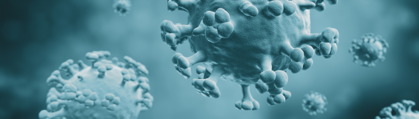 Navigating the Waves of Seasonal Flu