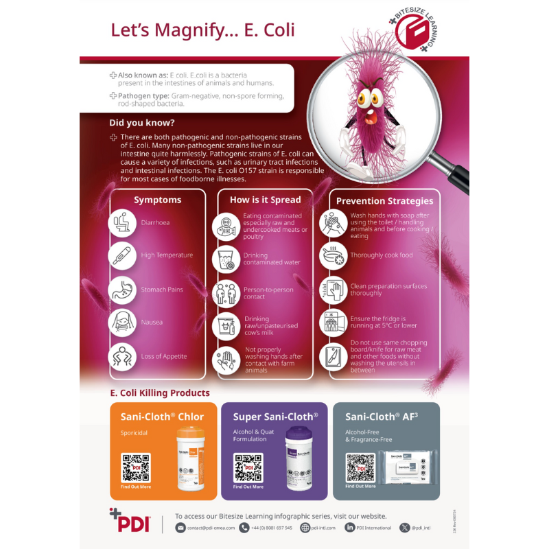 Lets Magnify….E. Coli